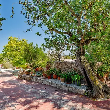 Holiday home Casa Mayans *